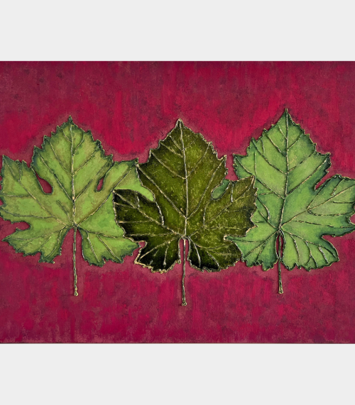 Syrah My Love Square